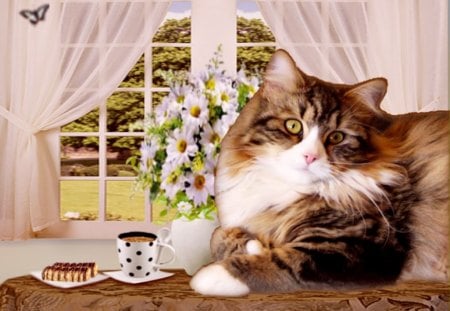 cute cat - flowers, cute, cofee, cat