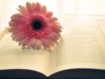 Flower Book