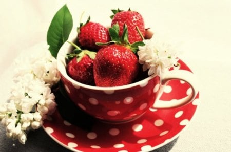 Happiness in a Cup - red, flowers, cup, happiness, strawberries