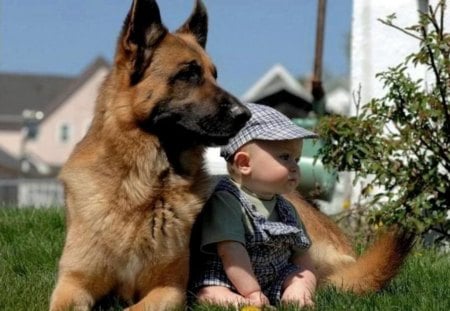 Cute friends - baby, image wallpper, dog, color, new