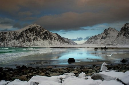 seagull flying over lonely beach in winter - beach, winter, mountains, sea, rocks, bird, waves