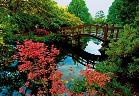 Park Bridge - trees, reflection, water, path, plants