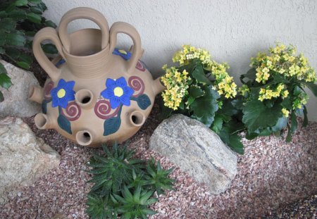 Kalanchoe day photography 30 - photography, rocks, kalanchoe, yellow, pink, green, flowers, stones, garden