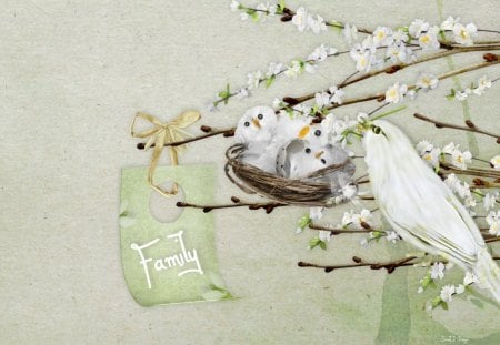 A New Family - wings, babies, white, nest, pretty, blossoms, beautiful, green, family, flowers, cute, birds