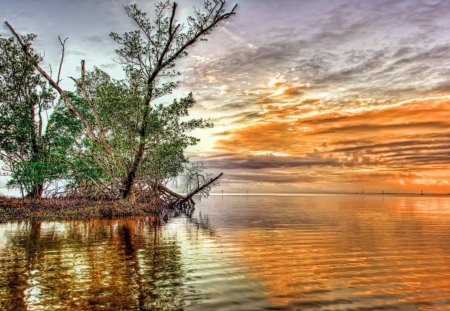 wonderful sunset on a rippled bay hdr - bay ripples, clouds, trees, sunset, hdr