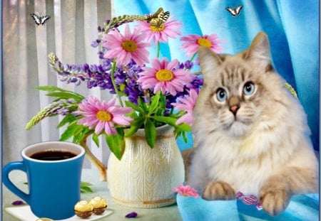 still life,cat - butterfly, coffee, flowers, cat