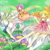 Flower Fairies