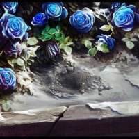 âœ¼.Sweet Blue Roses.âœ¼