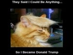 Trump cat