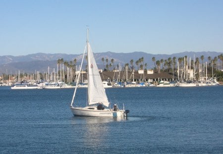 Sailing Off the Channel Islands Coast - ocean, pacific, sailing, sailboat, channel islands