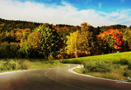 Trees Retreat - abstract, road, fantasy, trees