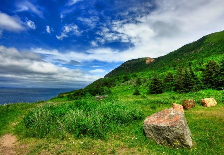 Beautiful nature - summer, beautiful, relax, rest, quiet, grass, view, nature, greenery, pretty, shore, lake, sky, bench, coast, nice, clouds, lovely, sea, green