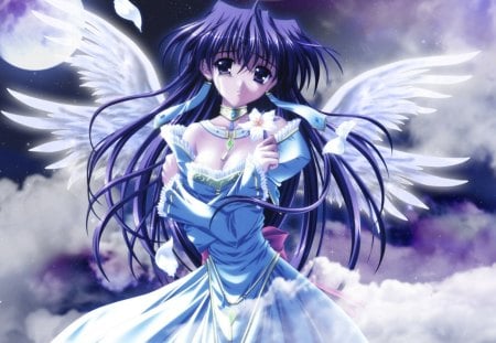 Angel in the sky - nice, sky, cool, wings, night