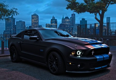 ford mustang 5.0 overlooking nyc - black, car, driveway, evening, city