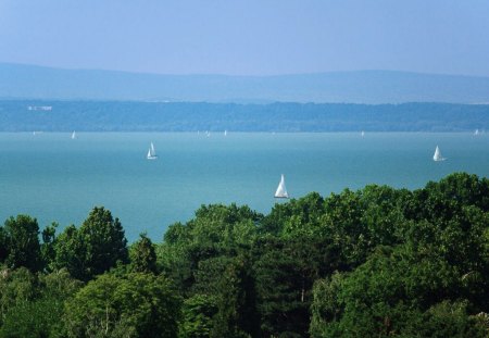 View for the Lake Balaton (Hungary) - Mountain, Forest, Lake, Nature