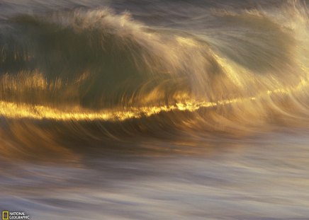 Curling Wave, Massachusetts - nature, ocean, wave, gold