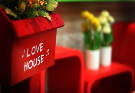 Love house - love, red, vas, house, flowers, garden