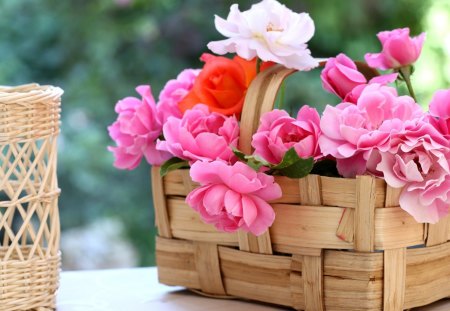 Pink flowers in the basket - white, basket, pink, green