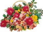 Fruits and flowers in the basket