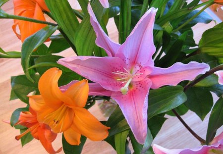 Different flowers - leaves, orange, pink, stem