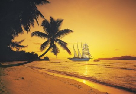 Palm Sunset - beach, sailship, sea, colors, light, sun