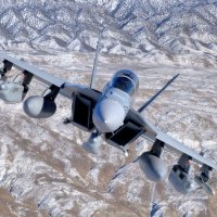 F-18 Hornet