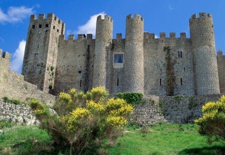 Castle - sky, building, nature, yellow, castle, blue, green, medieval, grass, flower