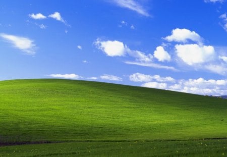 Windows XP - entertainment, windows, people, technology, funny, other