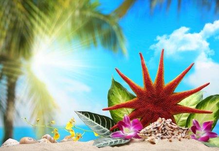 Summer time - palms, summer, beaches, sea, sunshine, holidays, ocean, flowers, vacantion