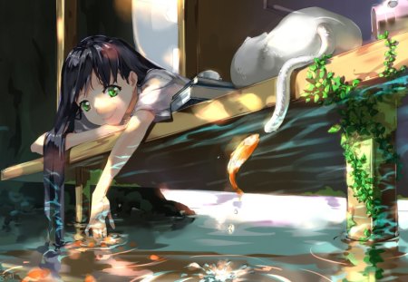 house over water - house, water, wet, fish, hair, cat