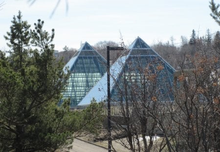 A day in Spring - trees, pyramids, photography, Sky, glass