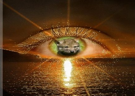 Wolf Eye - wolf, abstract, animal, eye, fantasy