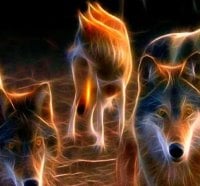 Fractal Wolves