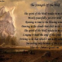 The Strenght Of The Wolf