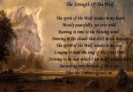 The Strenght Of The Wolf