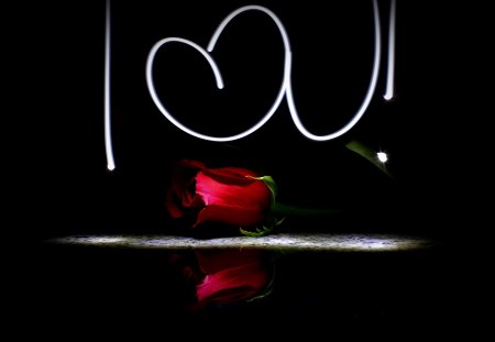 Love - sayings, red, rose, black, statement, words, love