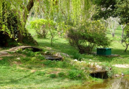 green park - tree, water, park, green