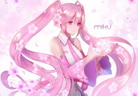 Sakura Miku - nice, female, hot, anime girl, cherry blossom, pretty, petals, anime, sakura blossom, miku, cute, pink eyes, hatsune miku, sexy, girl, twintails, long hair, pink hair, sakura miku, lovely, hatsune, vocaloids, floral, sakura, vocaloid, pink, blossom, sweet, flower