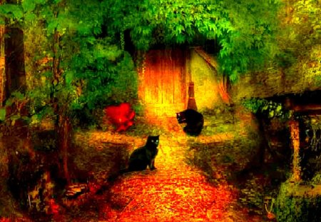 The coven - coven, bright colors, art, home, cat