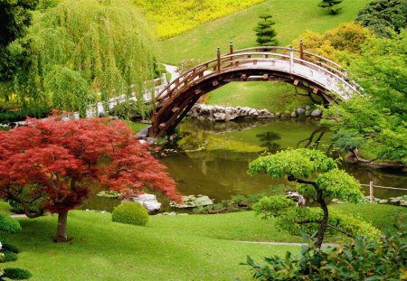 Park Bridge - trees, water, roof, garden, stones