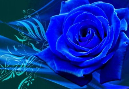 Blue Rose - colors, flower, blossom, artwork