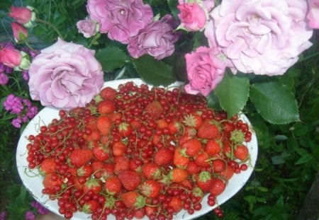 Fruits and Roses - roses, flowers, fruits, plate, nature, bud