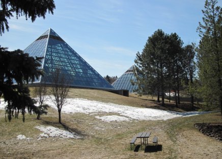 Spring finally show up - trees, pyramids, blue, garden, photography, snow, Sky