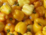 Yellow Peppers