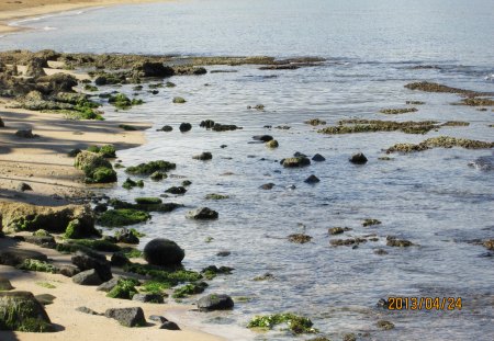 Relax - coral, water, rock, beach