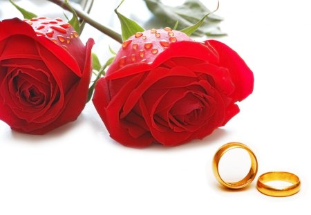 Wedding rings - roses, ring, wedding, engagement, love