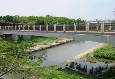 Bridge - plants, river, tree, Bridge