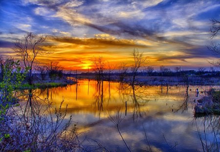 SUNSET - sky, clouds, river, sunset, plants