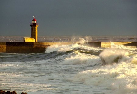 ROUGH SEA - lighthouse, storm, sea, waves, birds