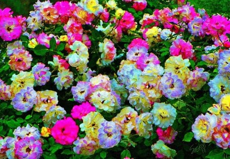 Spring Flowers - Colors, Painting, Flowers, Spring